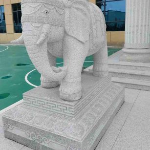衢州 白麻花岗岩动物异形石雕-大象