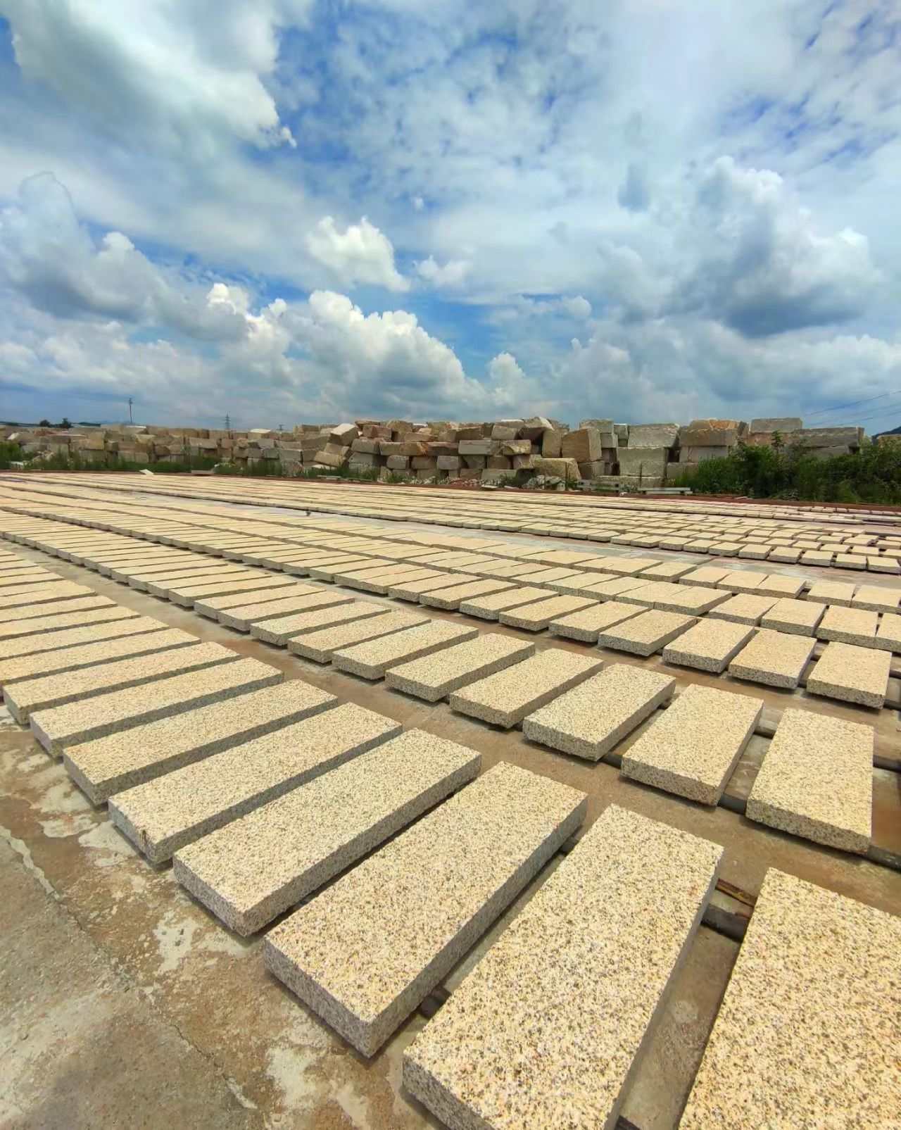 衢州 黄金麻花岗岩荔枝面地铺石防护中